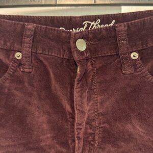 Universal Threads velvet jeans.